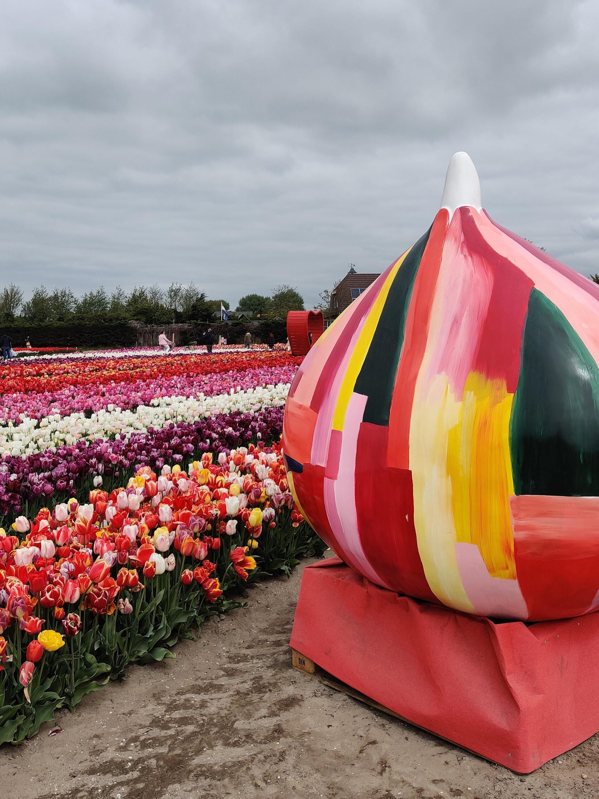 Reuzenbol bij The Tulip Barn